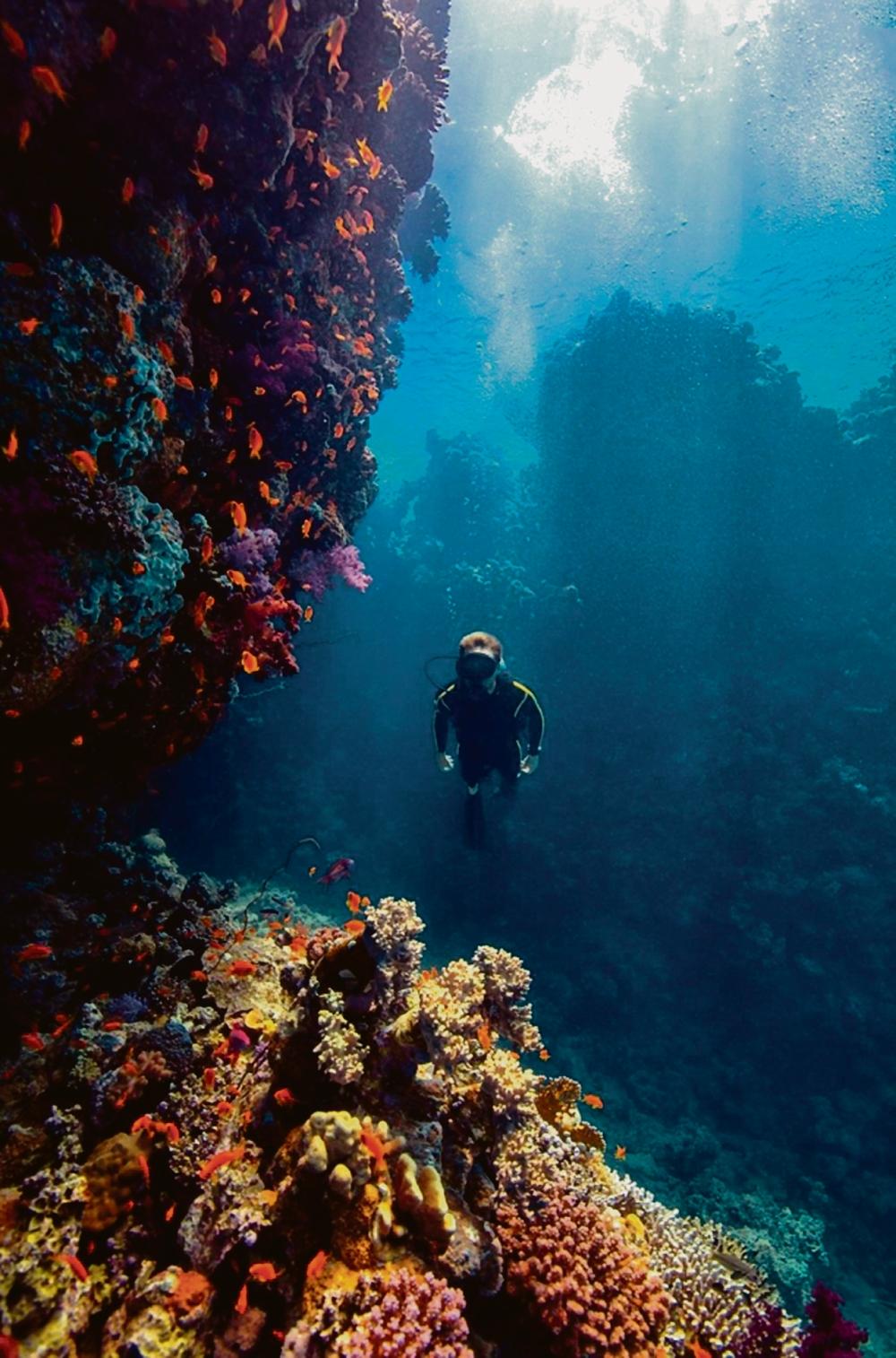 36a5fed3 4812 43e4 872a 8ca59d022794 file.jpg