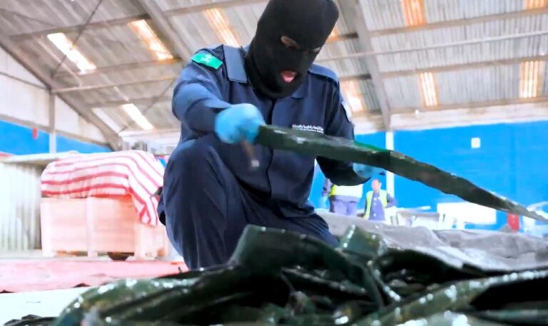 36ed1704 ce6e 4c04 ae92 476a08b02eef file.jpg