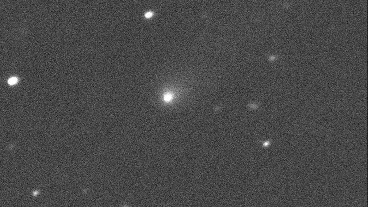 39945f07 94f9 4656 bc46 9273742a6ccf file.jpg