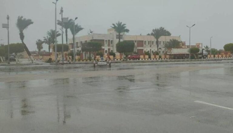 3b805d52 ad3a 401d 9503 86976b9d5266 file.jpg