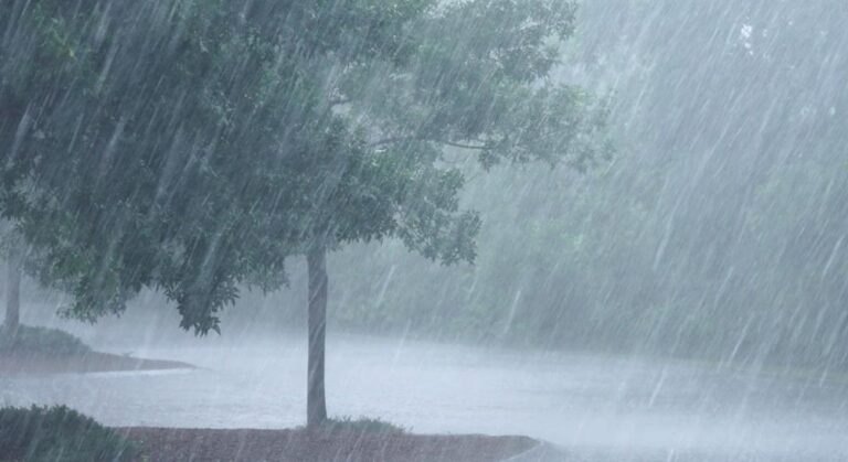 3ca7c6ed a4e1 4192 8775 ecb8cfcf1955 file.jpg