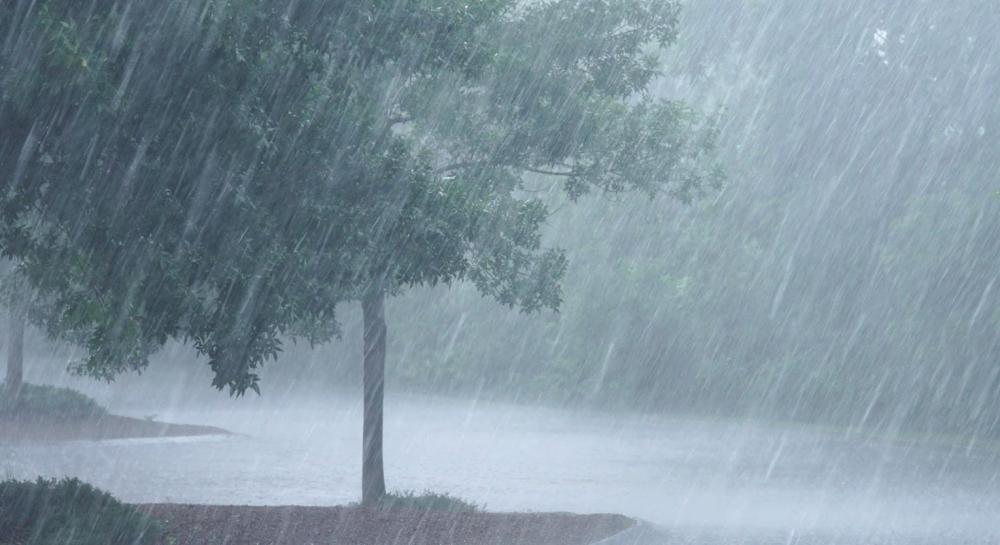 3ca7c6ed a4e1 4192 8775 ecb8cfcf1955 file.jpg