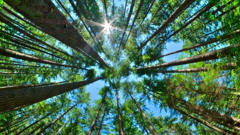 3ce20440 281b 496f bf73 f3e2f07a2780 file.jpg