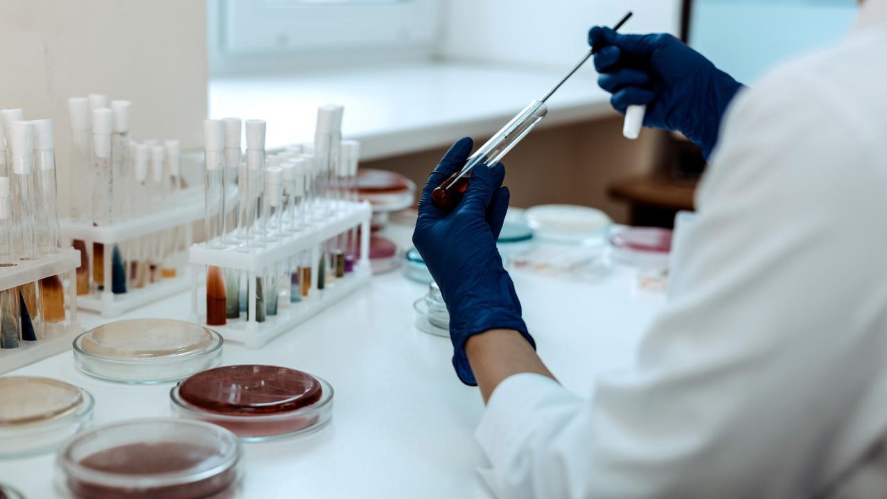 3dc23eea 2e7a 47ab 8c4c ca5411c66179 file.jpg