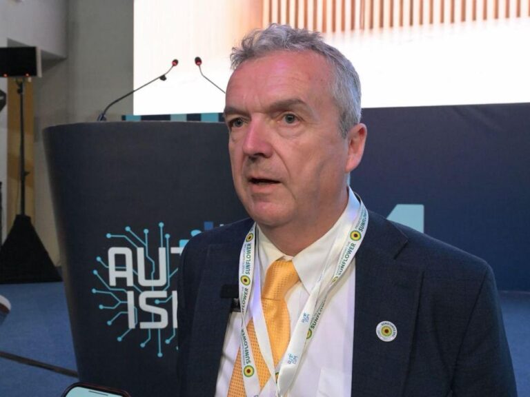 3e5d67cc bc51 409a 8634 f991e3203cf5 file.jpg