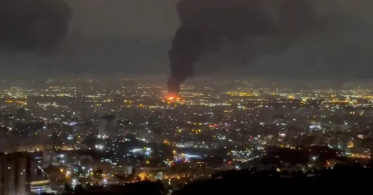 3f3502b3 2641 438c a76e f0a0879264dd file.webp