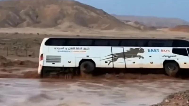 3f524616 2d50 4b78 9473 dd3dabbe2c5c file.jpg