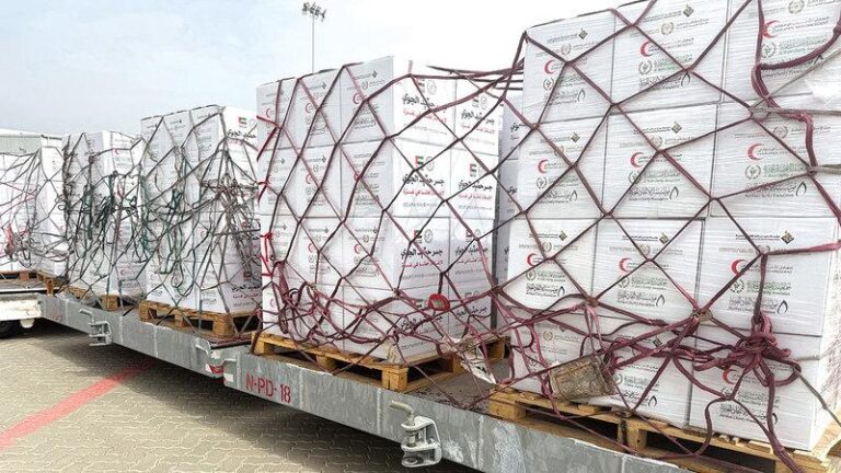 4118955c c984 4636 a697 393d5c057801 file.jpg