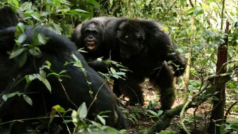 41be9125 2543 400b 974a 04babbcde4b3 file.jpg