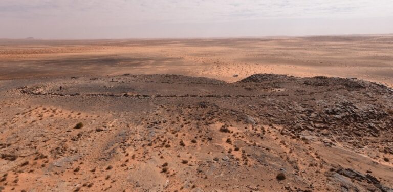 41f87ebf db40 4fa6 a0ea 521274590c57 file.jpeg