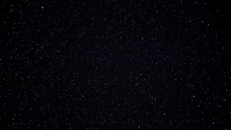 42142e05 a5a6 4f07 bd92 f9f59ca9fbe7 file.jpg