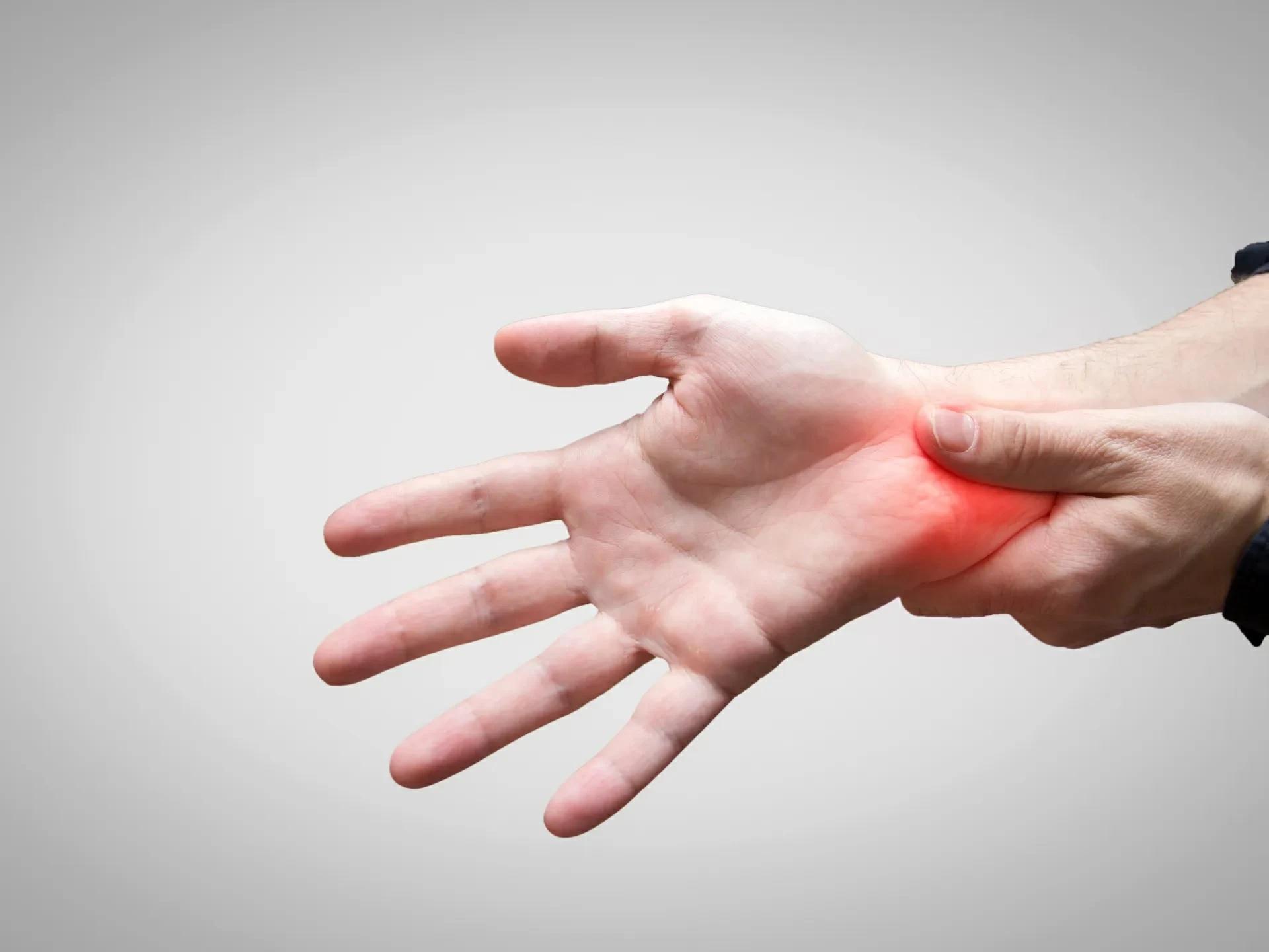 46b12122 f08a 402e bc55 410eb090c7e9 file.jpg