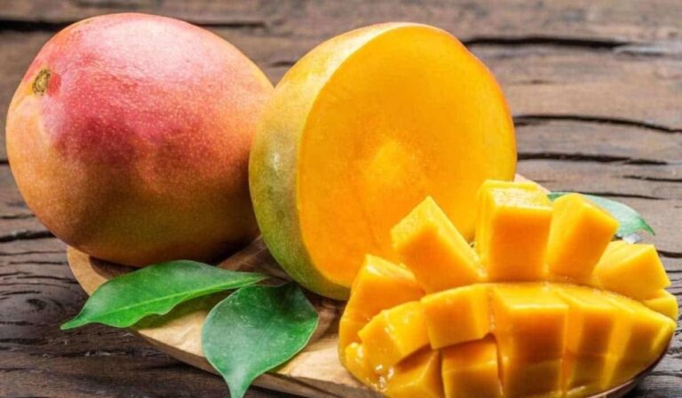 493858a2 a133 483f 9fa0 6847b37c544e file.jpg