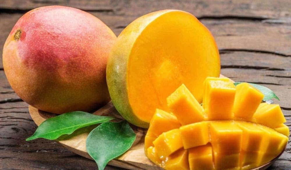 493858a2 a133 483f 9fa0 6847b37c544e file.jpg