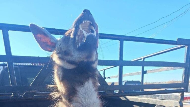 4aa8f330 222d 48e4 958f c624b193f076 file.jpg