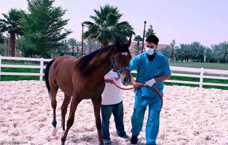 4b96d361 e803 48e0 8a4e 8b3909209669 file.jpg