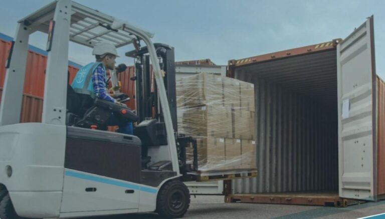 4c70bab7 6b43 4176 b075 27f385aa04f0 file.jpg