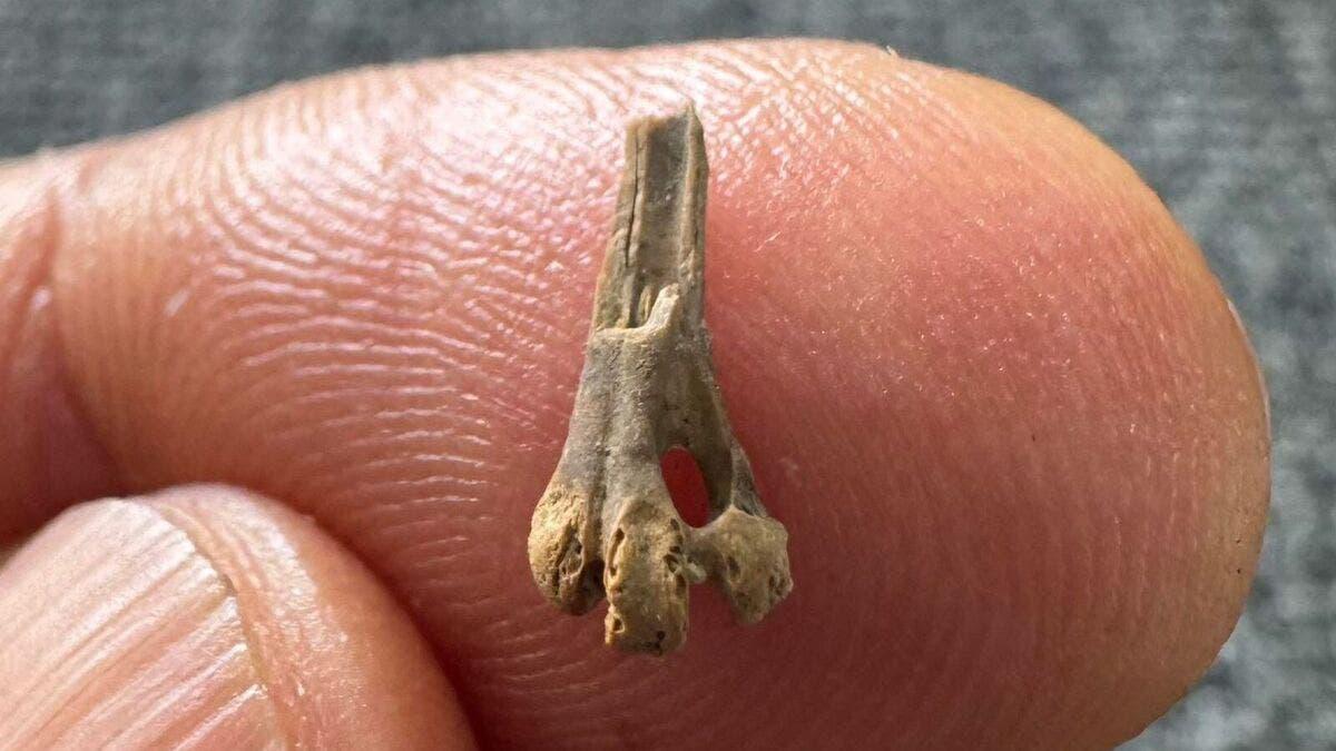 4fdd7b88 d589 45ce 981d 2263a8d14474 file.jpg