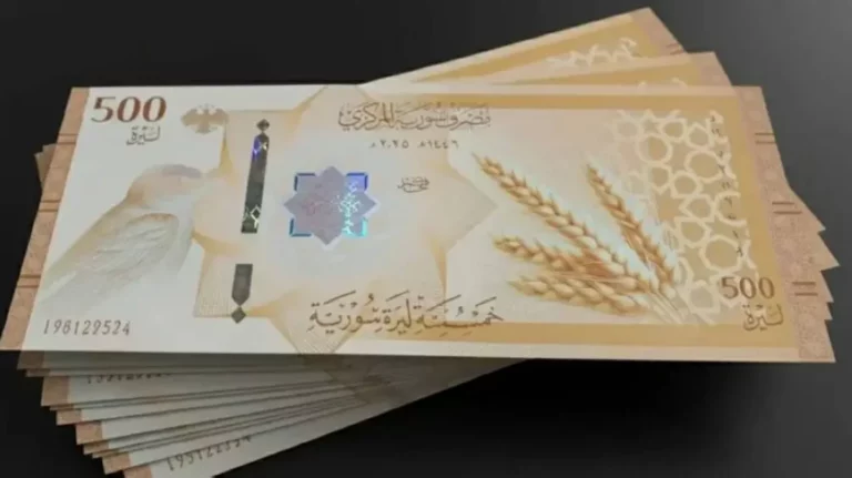 503e24c8 2be8 43b3 925a 8807330ffa82 file.webp