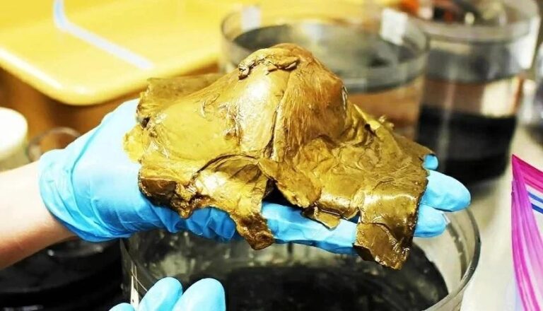 505f5cfe d437 4d07 a423 78cbc4965566 file.jpg