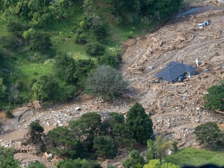 51ba4de7 6880 4886 a556 55a6a1c5f054 file.jpg