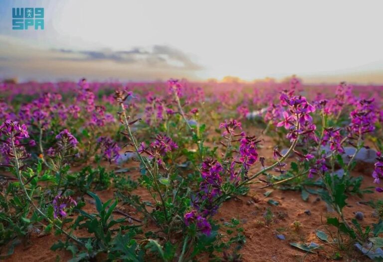 5428631f 37e0 4067 97d4 7317f7a59d30 file.jpg