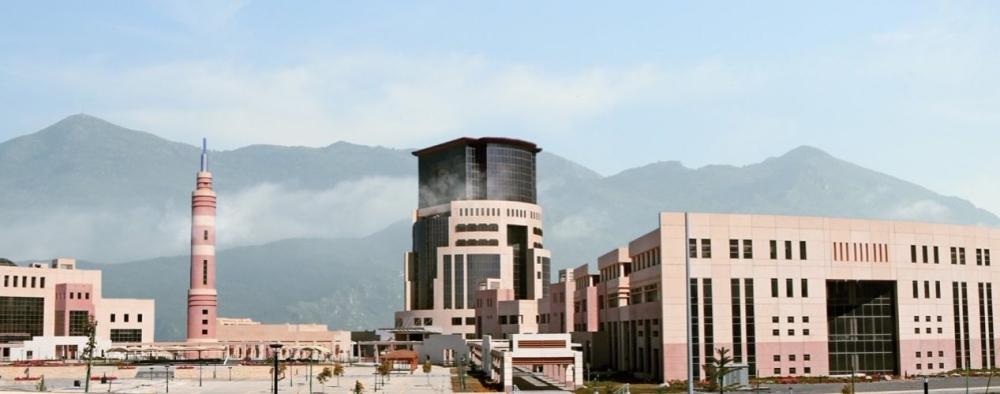 543df541 4cea 4965 ad10 38d15dbaa77b file.jpg