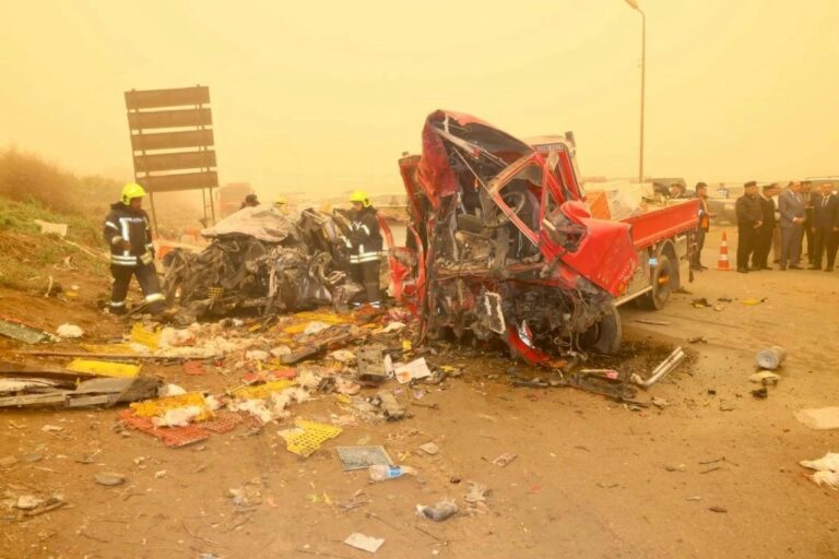 558b94f6 83fe 47bc b77d 83c91f1e235e file.jpg