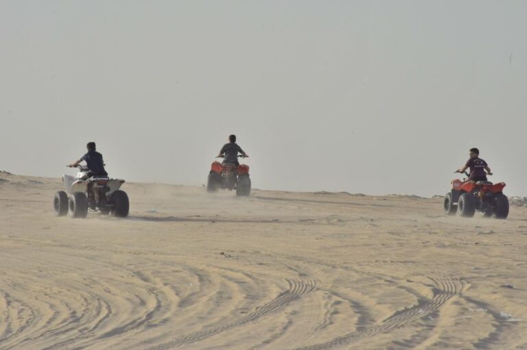 57804bd5 0875 4985 8f91 706e07d55ed6 file.jpg