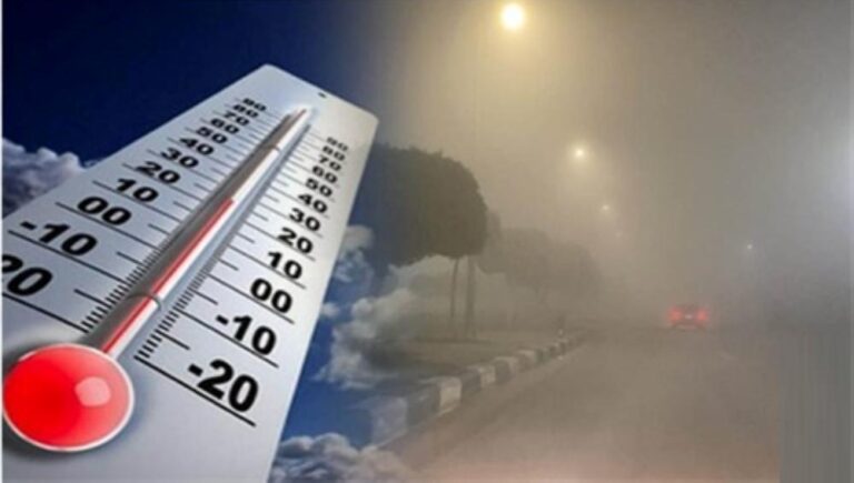 58e794d1 aaf1 42cd 871e b8cb12e3f9b8 file.jpg