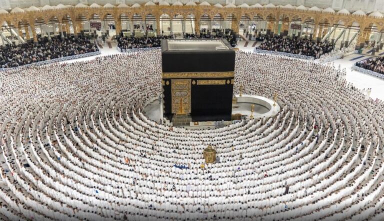 593d7fd8 6ac0 45c7 8c37 431b371f70be file.jpg