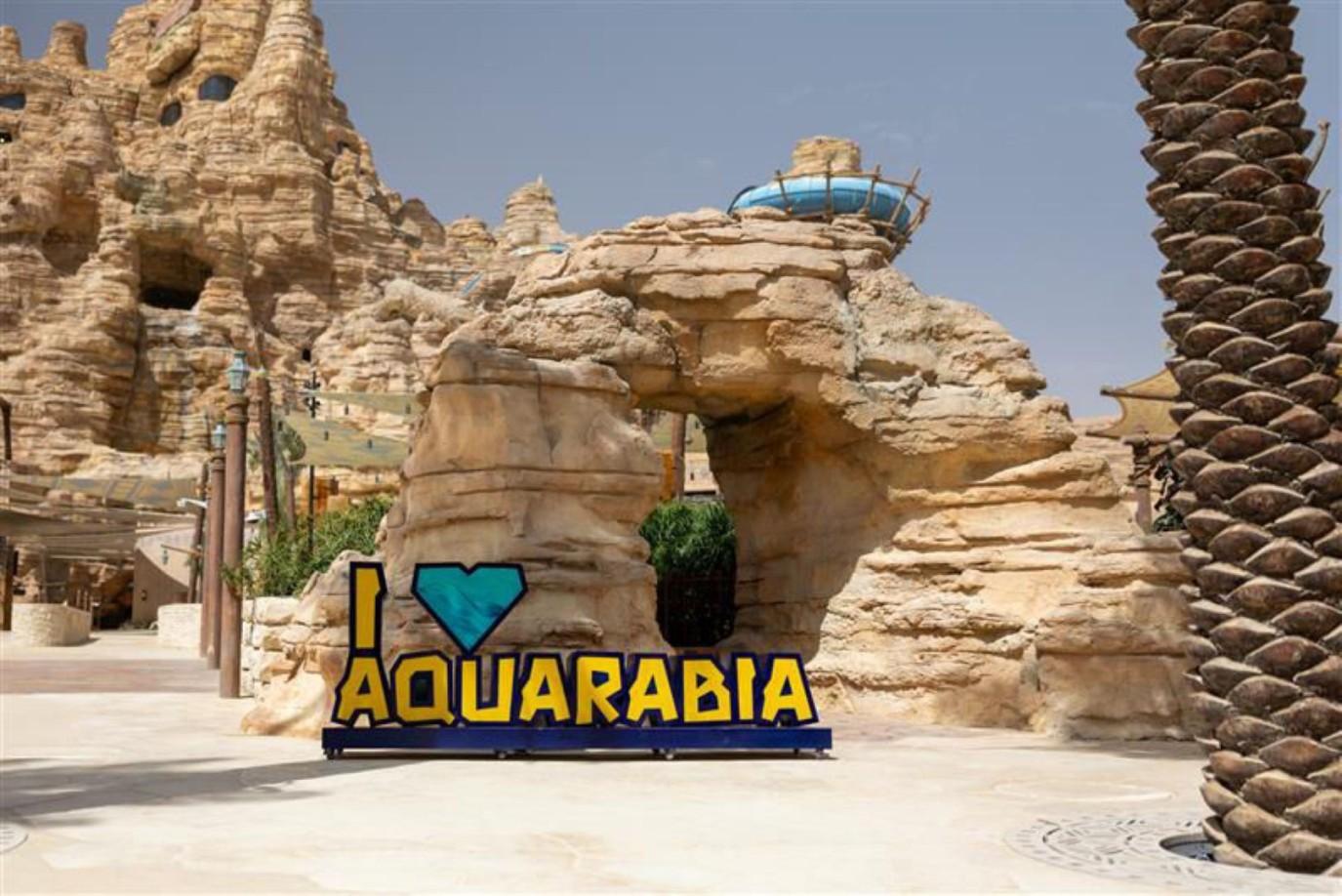 5bb3b983 4e12 4525 ab23 2fcf0a157216 file.jpg