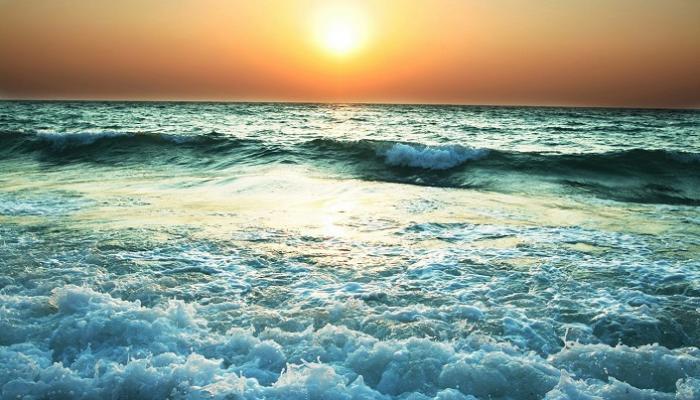 60f83888 d289 4702 ac91 a908ec3bf72e file.jpg