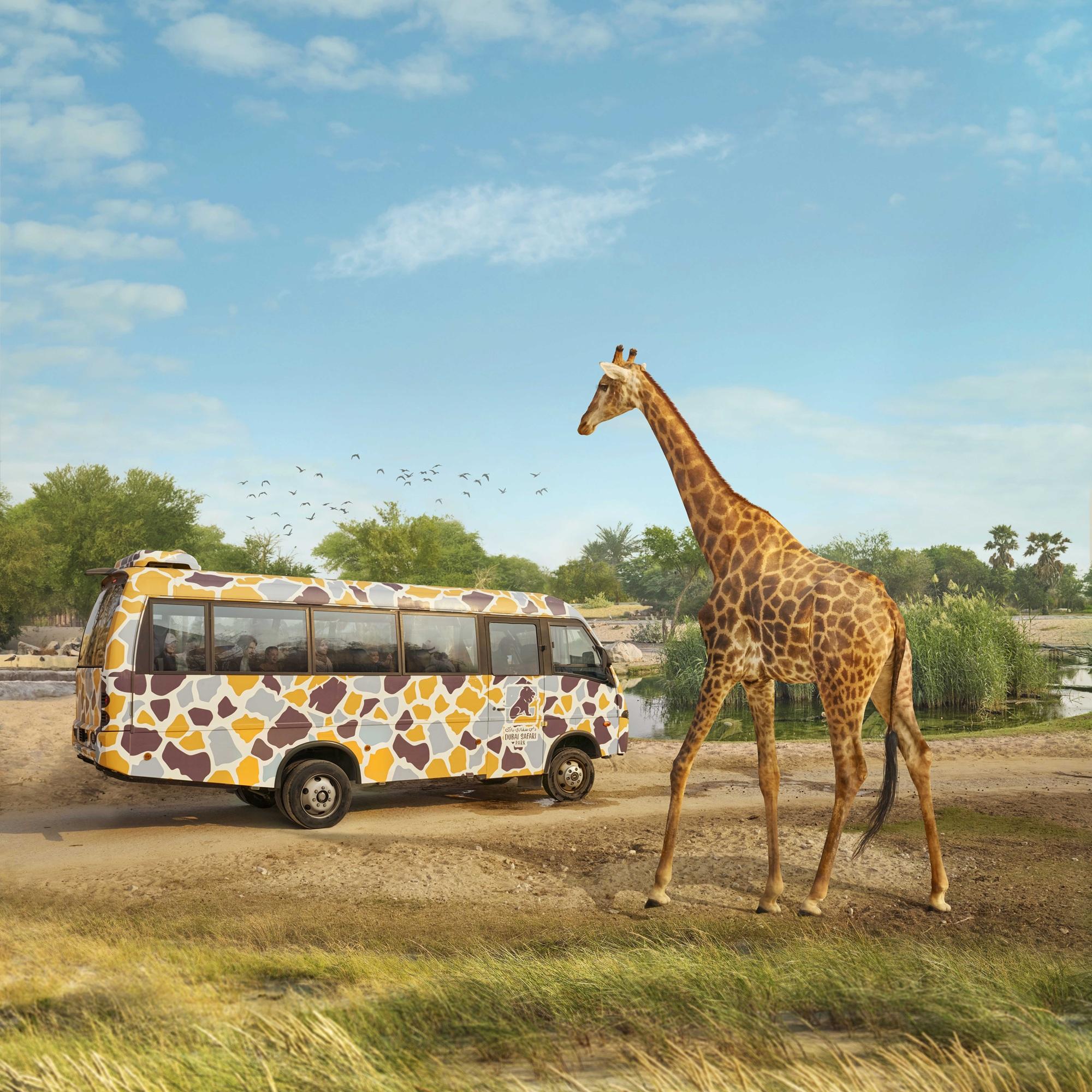 62c53ae2 6dc8 49fa ba38 b6506012ac5d file.jpg