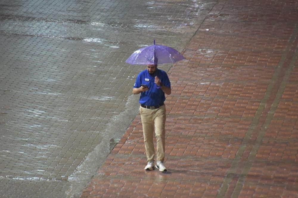 6317d623 d3f7 4f02 9f88 24aa11eefe1b file.jpg