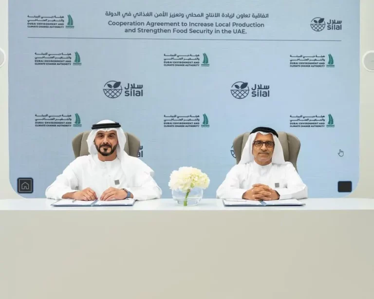 63fc3440 bc6b 483a b3e6 7ee8720d833d zawta.webp