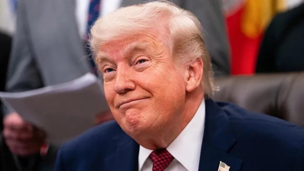 6a1868fe 7e8f 4729 b90a 082ae3f44137 file.jpg