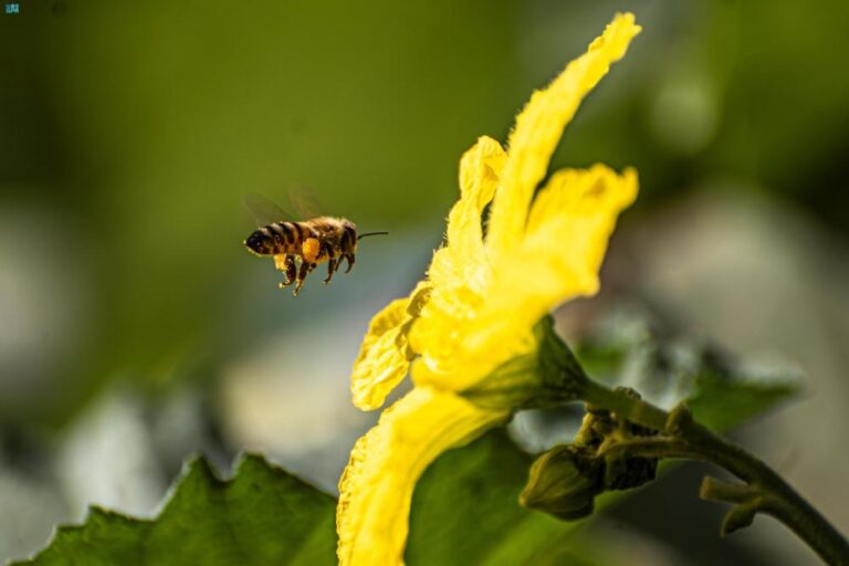 6a5b9922 f710 4ee3 8d00 94ec5a3ad7df file.jpg