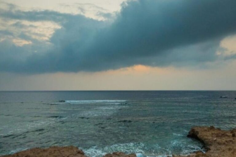 6bc484c7 d559 4731 9c7a b02f56ce8d2d file.jpg