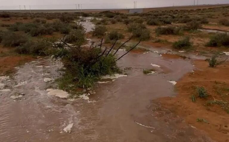 6bf85cc4 a1b8 41a7 bdde 454dbe3c398a file.jpg