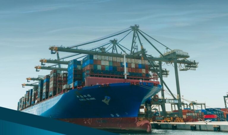 6c939bfd 948a 4d80 ad31 c19187f3f28a file.jpg