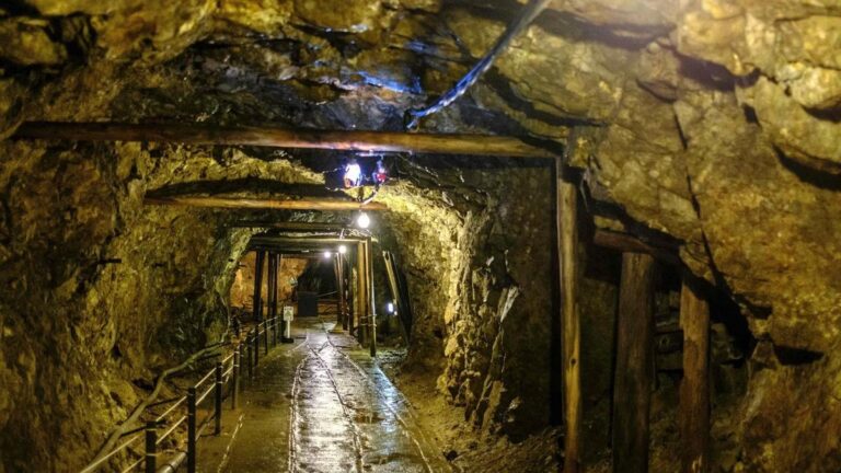 702b4522 c17f 49b3 b131 da4046752f82 file.jpg