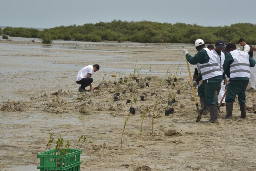 72731c74 43e0 4185 8cf9 dd38ea41b17e file.jpg