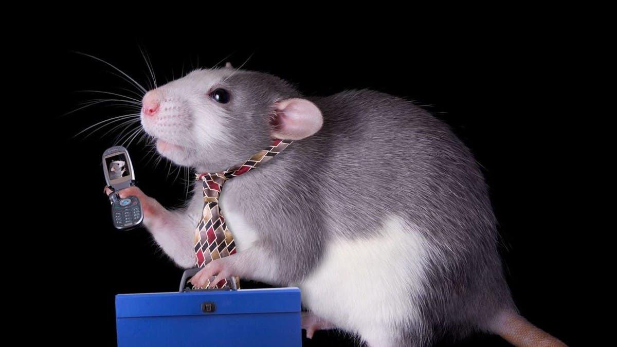 74754e4b 9c50 4ca4 8a29 a3c1ff2f0411 file.jpg