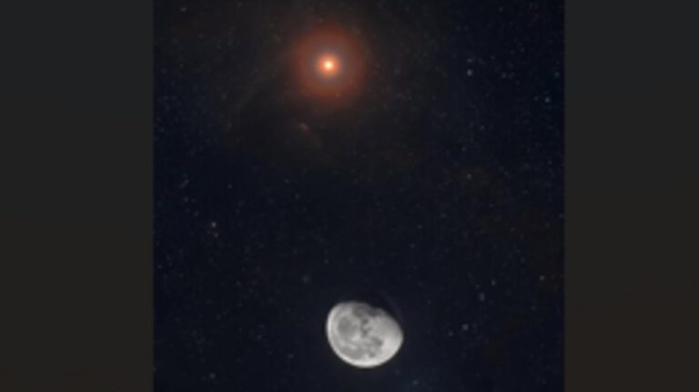 74884716 3f58 425a 93f0 997a6a0eef10 file.jpg