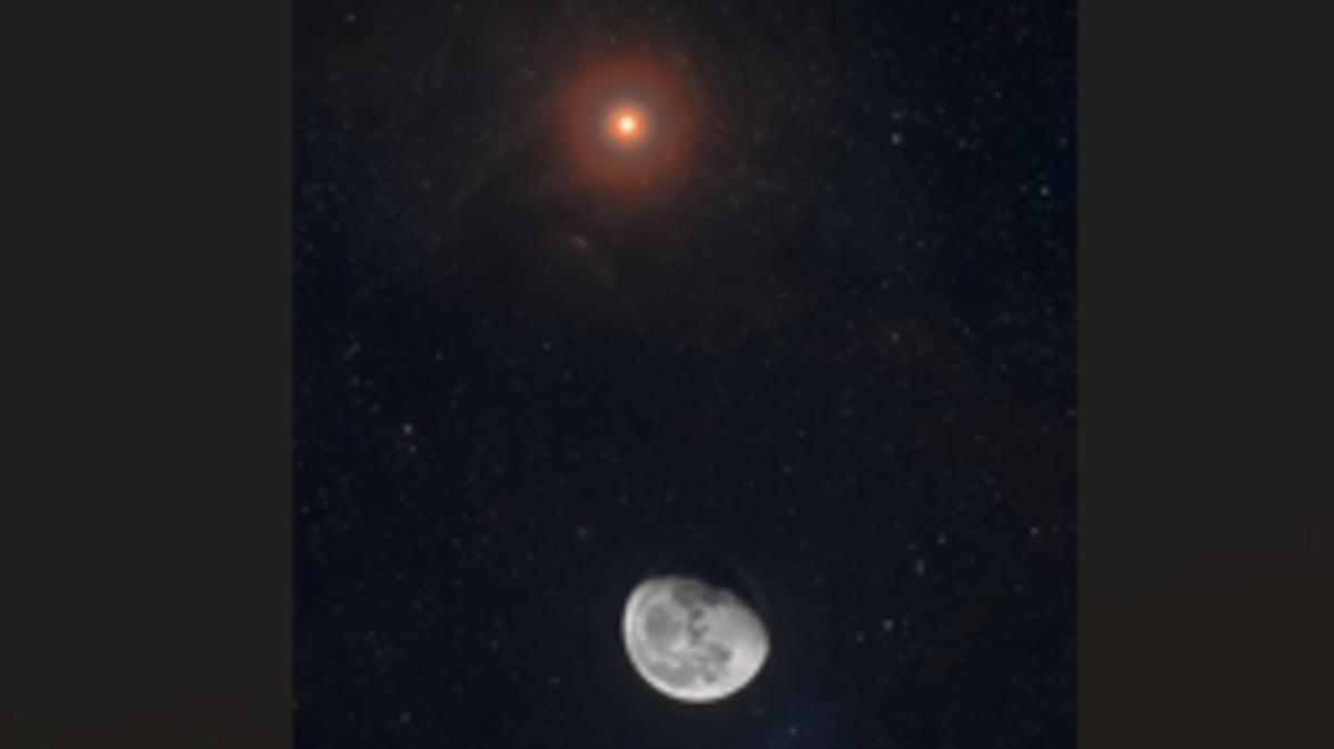 74884716 3f58 425a 93f0 997a6a0eef10 file.jpg