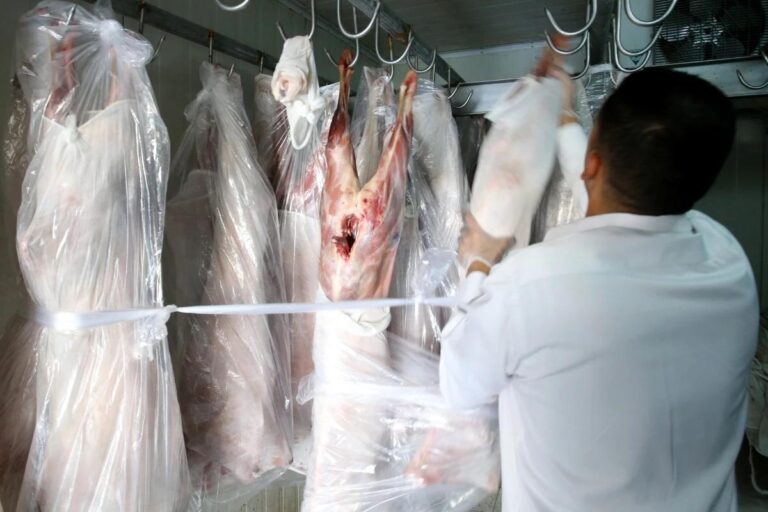 74ab0f61 c4e4 4a0e a623 c0aa6fa8d1bf file.jpg