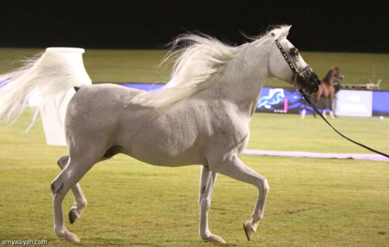 75cceb94 e4ce 460e b26a 9554a7e23ae1 file.jpg