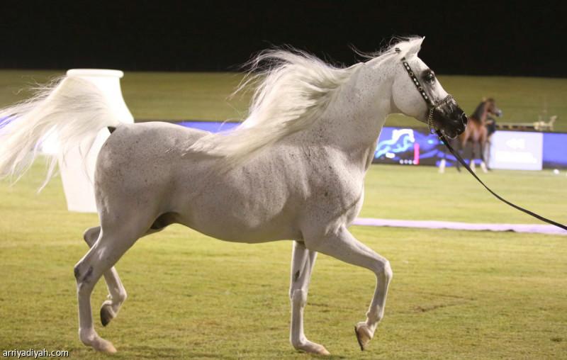 75cceb94 e4ce 460e b26a 9554a7e23ae1 file.jpg