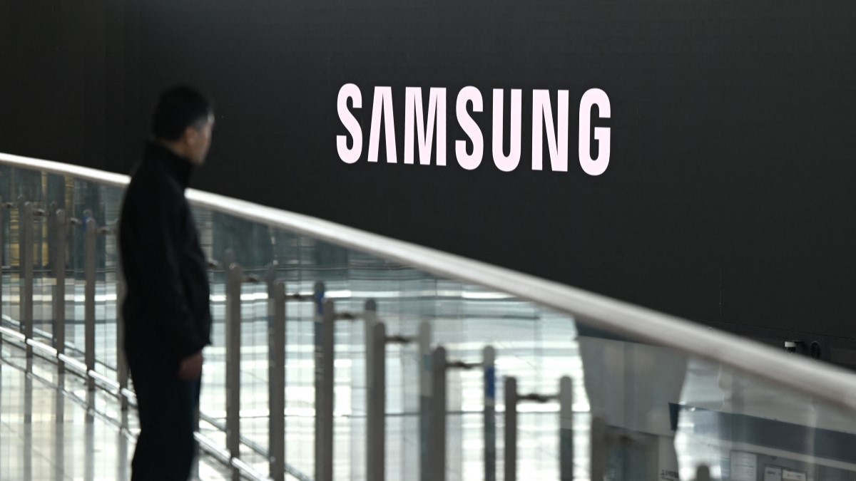 773fe5d6 02e1 4017 a3ce 845040ece1d5 file.jpeg